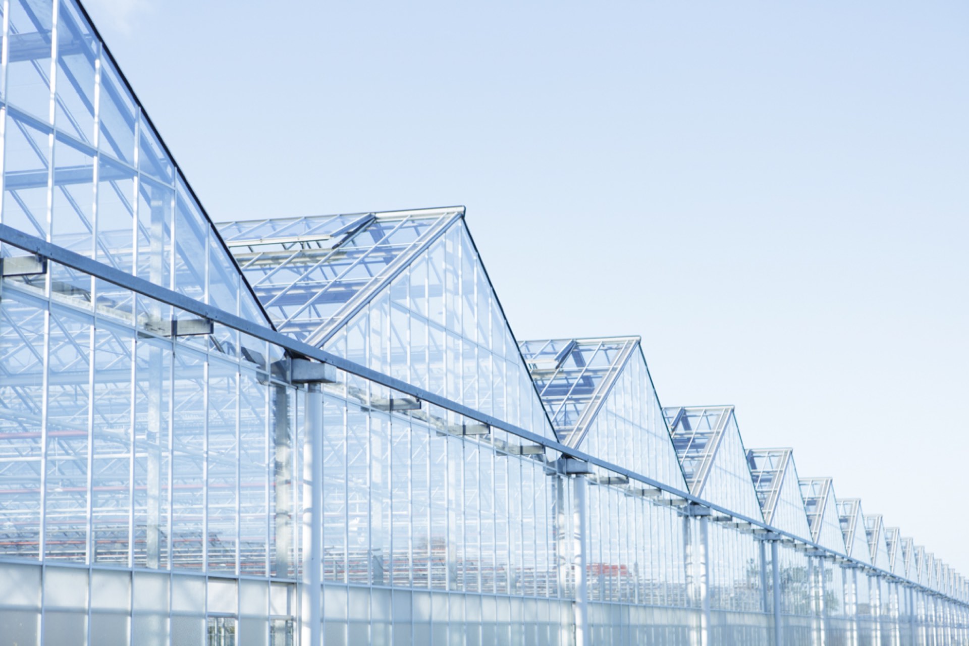 Glastuinbouw in het Westland