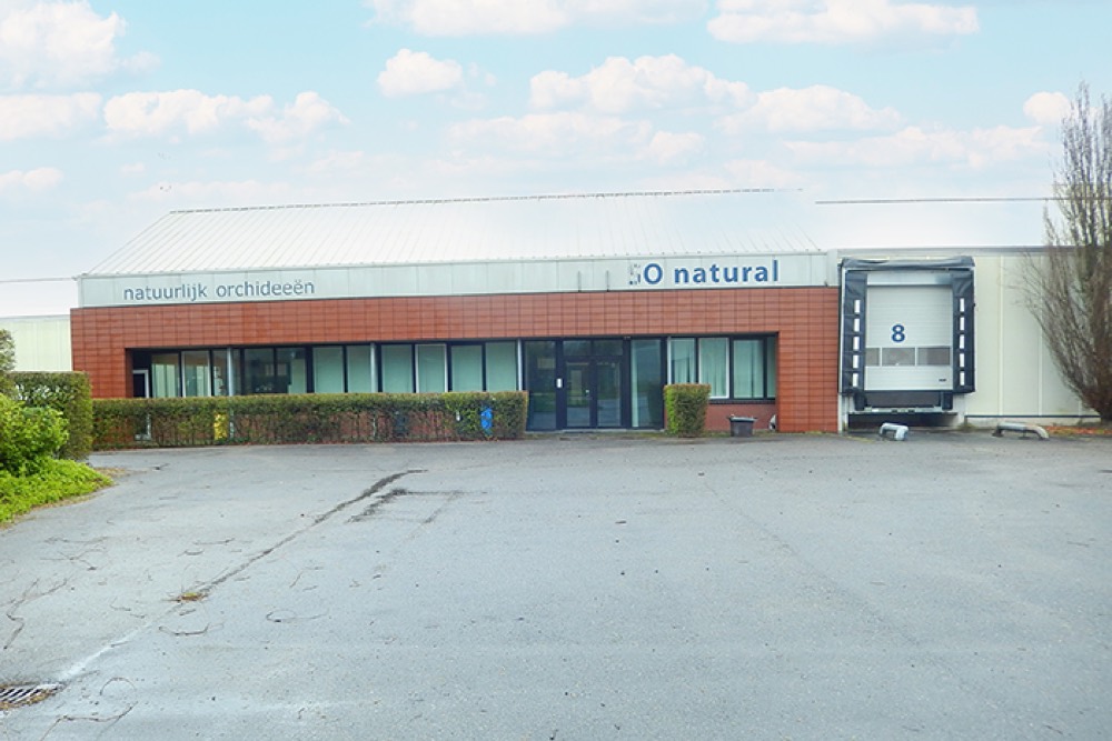 Glastuinbouwbedrijf in Harmelen